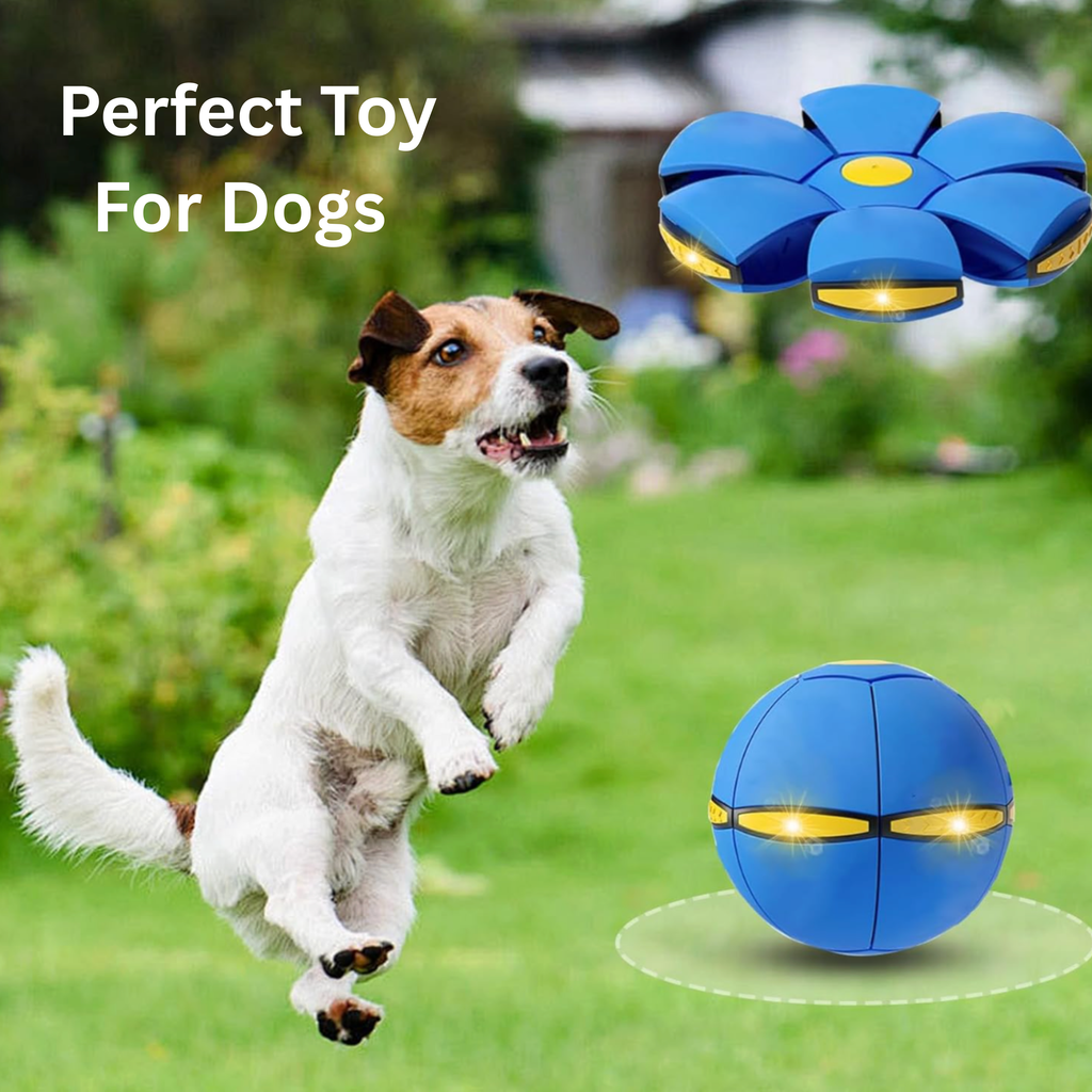 Flying Saucer Ball for Toy Interactive Flying Saucer Toy Portable